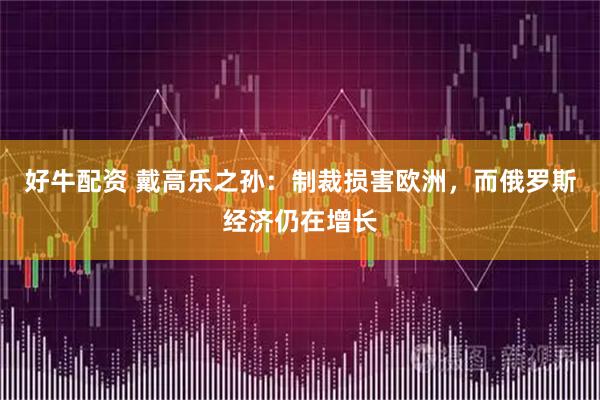 好牛配资 戴高乐之孙：制裁损害欧洲，而俄罗斯经济仍在增长