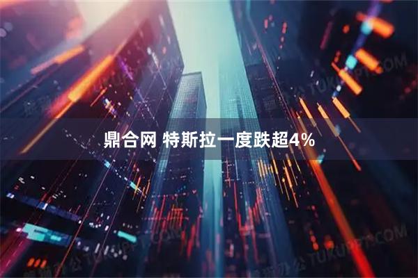 鼎合网 特斯拉一度跌超4%