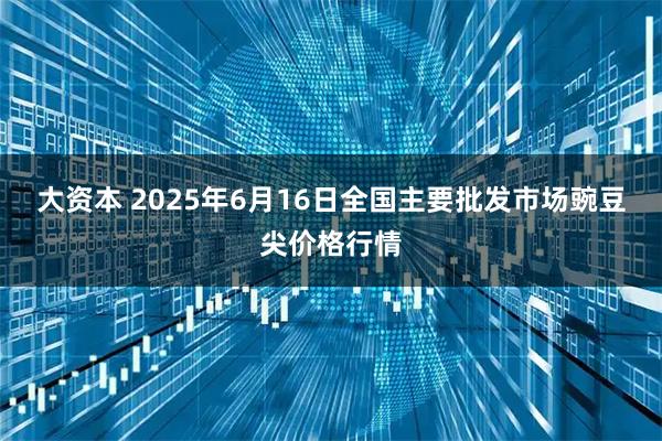 大资本 2025年6月16日全国主要批发市场豌豆尖价格行情