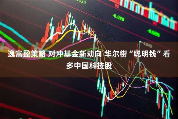 逸富盈策略 对冲基金新动向 华尔街“聪明钱”看多中国科技股